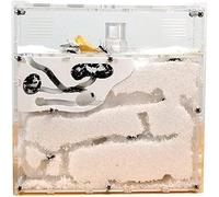 Acrylic Stereoscopic Observation Nest Ant Castle Transparent Acrylic Wet & Dry Double Decker Ant Farm House Workshop Ant Zoo Ant Manor Ant Habitat Colony Behaviour Study