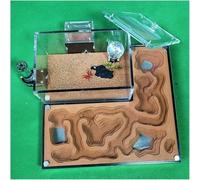 Acrylic Stereoscopic Observation Nest Ant Castle With Water Tower Ant Nest Farm Large Capacity Ant Farm House Studio Ant Feeding Room Educational Option Kit Ant Habitat Colony Behaviour Study