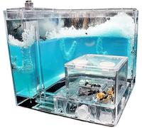 Acrylic Stereoscopic Observation Nest Ant Farm Castle Observation Kit Study Ant Behaviour At Home School Ant Farm Watch Ants Dig Their Own Ant House Tunnel Ant Nest Farm Ant Habitat Colony Behaviour S