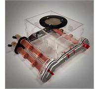 Acrylic Stereoscopic Observation Nest Bamboo Test Tubes Ant Nests DIY Acrylic Ant Houses Feeding Areas Pet Ant Mounds Workshops Ecological Ant Breeding Castles Moisture-retaining Villas Ant Observatio