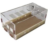 Acrylic Stereoscopic Observation Nest Little Ant Farm Box Gel Maze Ant Castle Watch Live Ants At Work Ants Nest Farm World Pet House Puzzle Ants Habitat Gift Ants Habitat Colony Behaviour Study(Large