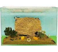 Acrylic Stereoscopic Observation Nest Simple Ant Castle Acrylic Ant Farm Transparent Ant Nest Studio Feeding Room Science Observation Diy Ant Nest Farm Ant Habitat Colony Behaviour Study(M)