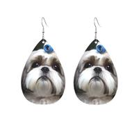 Acrylic Teardrop Earrings For Women Hoop Earrings Shih Tzu Dog Drop Dangle Earrings Fashion Boho Silver Teardrop Earring Jewelry Gifts