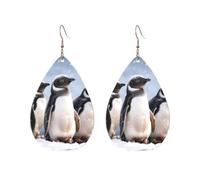 Acrylic Teardrop Earrings For Women Hoop Earrings Young Penguins With Snow Drop Dangle Earrings Fashion Boho Silver Teardrop Earring Jewelry Gifts, One Size, No Gemstone