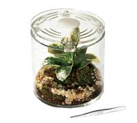 Acrylic Terrarium - 10 x 10 x 10 cm Transparent Acrylic Terrarium with Anti-Leak Ventilation - Container for Reptiles and | Suitable for Hermit Crab Snails Religious Mantis Frogs and