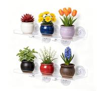 Acrylic Window Plant Shelves 2 Pack Clear Raised Borders Strong Suction Vertical Display For Succulents Herbs 15.7x5.9in No Drilling Tool Free Easy Installation Space Saving Indoor Garden(16in)