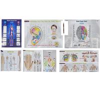 ACS MART Therapy Charts Set of 10 Acupressure Spinal Magnet Reflexology Cupping Su_jok Brain Ear Big Size Colourful