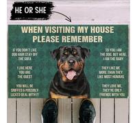acsewater Funny When Visiting My House Please Remember Door Mats Patios Doormat Dust & Dirt Trapping Doormat Barrier Mat