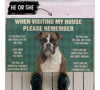 acsewater Funny When Visiting My House Please Remember Funny Door Mat for Pet Lovers Area Rugs for Living Room Floor