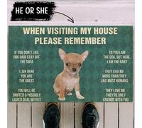 acsewater Funny When Visiting My House Please Remember Funny Door Mats for Dog Lover Area Rugs for Bedroom Floor Carpet