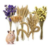 Acsist Natural Hamster Flower & Herb Habitat Deocr, Edible Hamster Sprays Flowers Bedding Mate, Hamsters Cage Enrichment Decoration Accessories for Gerbil Dwarf Syrian Hamsters Guinea Pig Mice