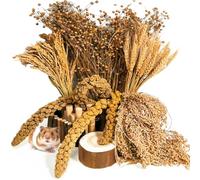 Acsist Natural Hamster Grain & Herb Habitat Deocr, Edible Hamster Sprays Herbs Bedding Mate, Hamsters Cage Enrichment Decoration Accessories for Gerbil Dwarf Syrian Hamsters Mouse Guinea Pig Mice