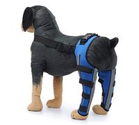 ACSUZ Dog Leg Protector Dog Leg Brace Pet Double Back Leg Protector Dog Double Leg Protective Cover Elastic Durable Dog Knee Brace,Blue,S
