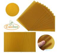 National Beehive Standard Brood Wired Wax Foundation x 10pcs Easibee