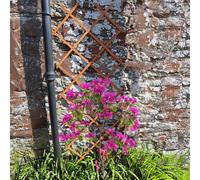 Actiasgear Expandable Garden Wooden Trellis Fence Expanding Divider 5Ft Plant Support 3Pcs