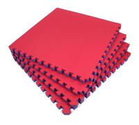 Actiasmat Exercise Mat, 40mm Thick, Red/Blue, Interlocking Mat for Martial Arts and Fitness (Multi, 40 mm x 4 Square Meter)