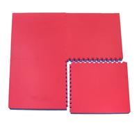 Actiasmat Exercise Mat, 40mm Thick, Red/Blue, Interlocking Mat for Martial Arts and Fitness (Multi, 40 mm x 6 Square Meter)