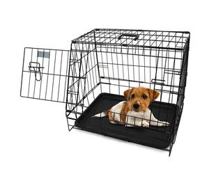 Actiaspet 24 Inch Sloping Dog Crate for Hatchback Cars