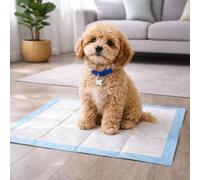 Actiaspet Puppy Training Pads 60cm x 45cm - Heavy Duty Absorbent Dog & Cat Toilet Pads - Leak Resistant Pet Training Mats (50)
