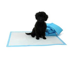 Actiaspet Xl Puppy Toilet Training Pads Super Absorbent