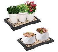 ACTIMED 2 Pack Bonsai Humidity Tray Drip Tray Rectangular Plastic Plant Water Catcher Tray Plant Saucers for Indoors and Outdoors Cactus, Succulents, Bonsai Tree (7.8 x 5.5 inch)