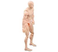 Action Figure Body, 4.1 Inch PVC Blank Action Figure, DIY Poseable, Collectible Painting Drawing for Exhibition, Play, Modeling, Scene Play, Skin Color/Male