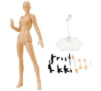 Action Figure Gestures Poseable Figure Lightweight Drawing Mannequin with Stand Support ＆ Accessories Drawing Model for Artists Sketching, Painting Female, Usage en Cuisine