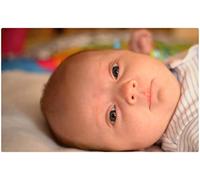 Action Retail Any photo printed onto a hard plastic card (credit card sized)