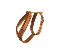 Active dog harness Kentucky Velvet