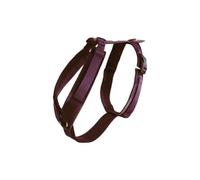 Active dog harness Kentucky Velvet