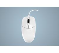 Active Key AK-PMJ1 mouse Office Ambidextrous USB Type-A Optical 1000 DPI
