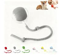 Active Rolling Ball with Tail for Dogs, Interactive Cat Toys Balls, Intelligent Automatic 360° Rolling Balls for Cats and Dogs (s)