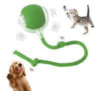 Active Rolling Ball With Tail For Dogs, Smart Rolling Ball For Cats & Dogs, 360° Smart Rollings Pet Balls With Tail, Active Play & Chase, Usb Rechargeable Self-Moving Dog Balls (Green)