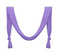 Active Silk Aerial Yoga Swing Hammock Kit for Improved Yoga Inversions Flexibility & Core Strength (Purple)