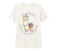 Activity Assistant No Drama Just Llama Activities Funny Premium T-Shirt