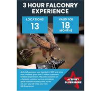 Activity Superstore 3 Hour Falconry Experience