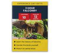 Activity Superstore 3 Hour Falconry Gift Experience Multi