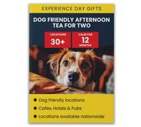 Activity Superstore Dog Friendly Afternoon Tea for Two Gift Experience Activity Superstore Multicolor