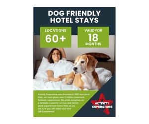 Activity Superstore Dog Friendly Hotel Stay Experience