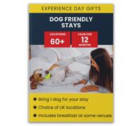 Activity Superstore Dog Friendly Hotel Stays Gift Experience Activity Superstore Multicolor