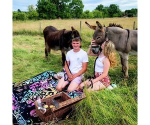 Activity Superstore Donkey Picnic At Dashing Donkeys For 4