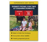 Activity Superstore Donkey Picnic For Two At Dashing Donkeys Gift Experience Multi