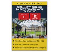 Activity Superstore Entrance to Blenheim Palace with Afternoon Tea for Two Gift Experience Activity Superstore Multicolor