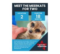 Activity Superstore Meet the Meerkats for Two Experience