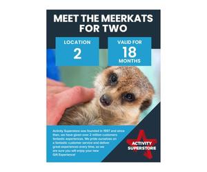 Activity Superstore Meet the Meerkats for Two Experience