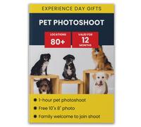 Activity Superstore Pet Portrait Gift Experience Multi