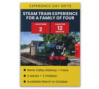 Activity Superstore Steam Train Experience for a Family of Four Gift Experience Activity Superstore Multicolor