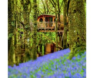 Activity Superstore Two Night Tree House Escape For Two