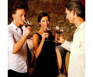 Activity Superstore Vineyard Tour & Tastings Gift Experience