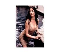 Actor Sexy Actress Catherine Zeta Jones 34 Canvas Poster Bedroom Decor Sports Landscape Office Room Decor Gift Unframe-style 12x18inch(30x45cm)